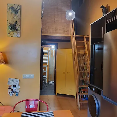 Rosa Jove Appartement *