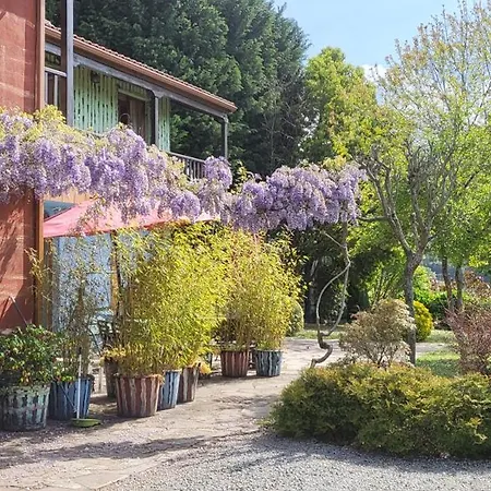 Apartment Rosa Jove