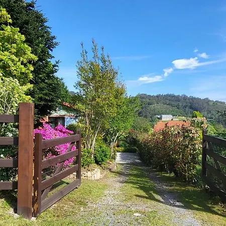 Rosa Jove Apartamento