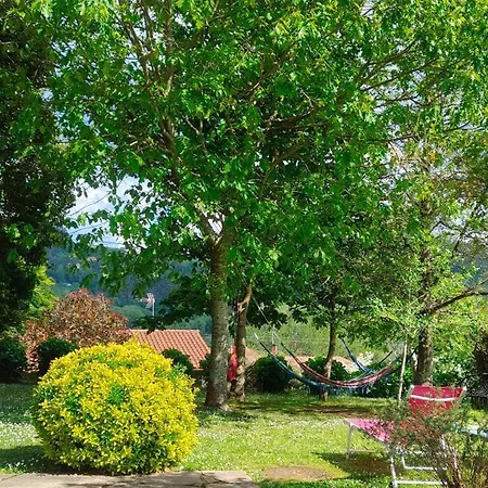 Rosa Jove Apartment