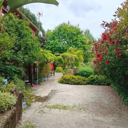 Apartment Rosa Jove
