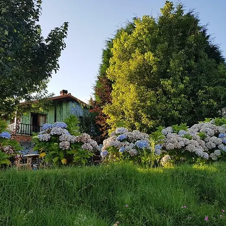 Rosa Jove * Cabañas