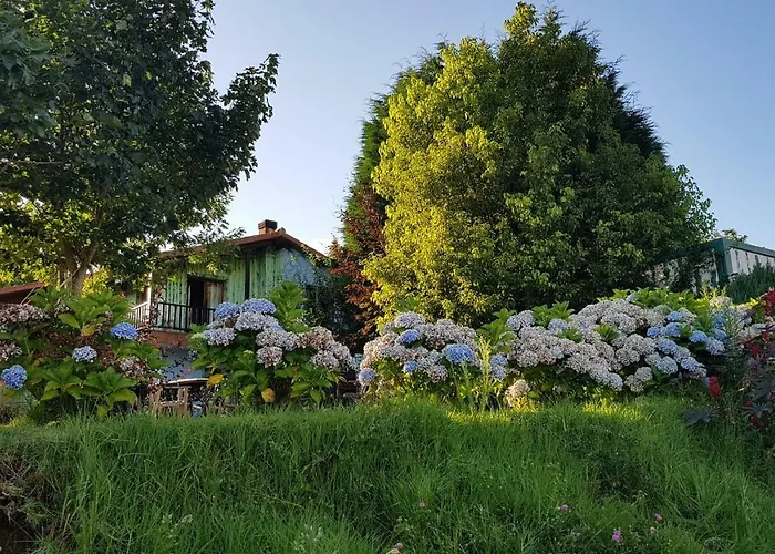 Rosa Jove * Cabañas